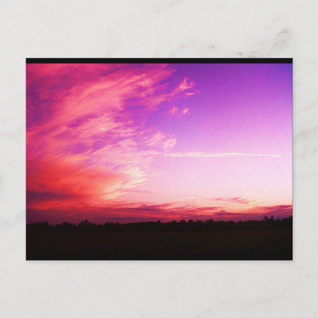 Slushpuppers Fotografiskt vykort (Framsida)