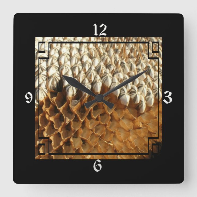 Sluss - Torkad solros i Ram Fyrkantig Klocka (Framsida)