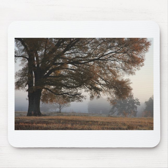 Slut Musmatta (Framsidan)