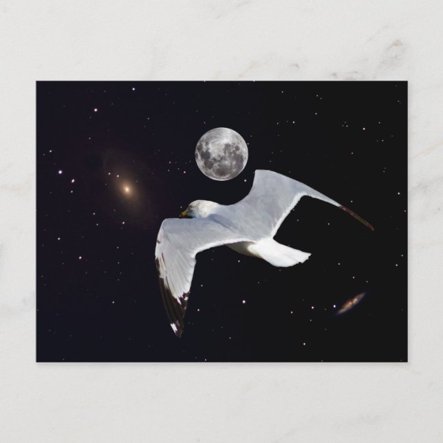 Slut på det här vykortet vykort (Framsida)