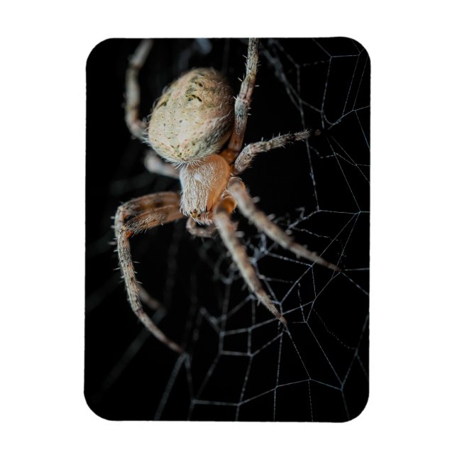 Slut på frågetecknet "European Garden Spider" Magnet (Vertikal)