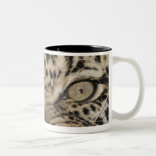 Slut upp av att brumma för leopard Två-Tonad mugg (Höger)