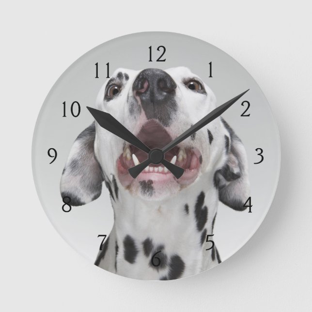 Slut upp av en Dalmatian hund Rund Klocka (Framsida)