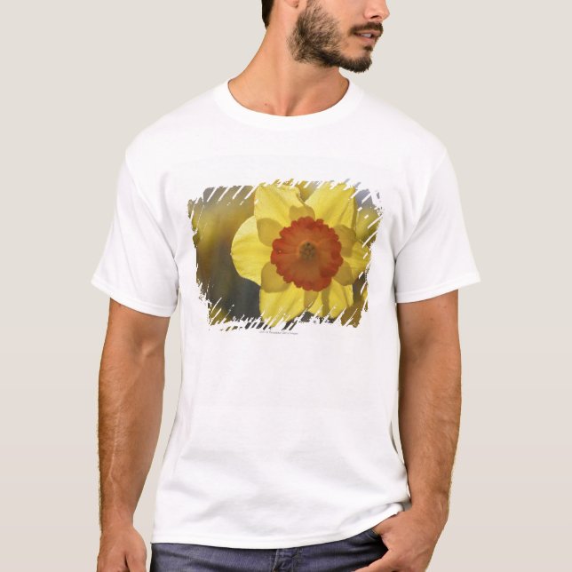 Slut upp av en gul/orange påsklilja tee (Framsida)