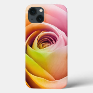 Slut upp av färgrika rosa Petals