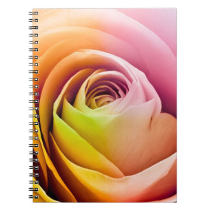 Slut upp av färgrika rosa Petals Anteckningsbok Med Spiral