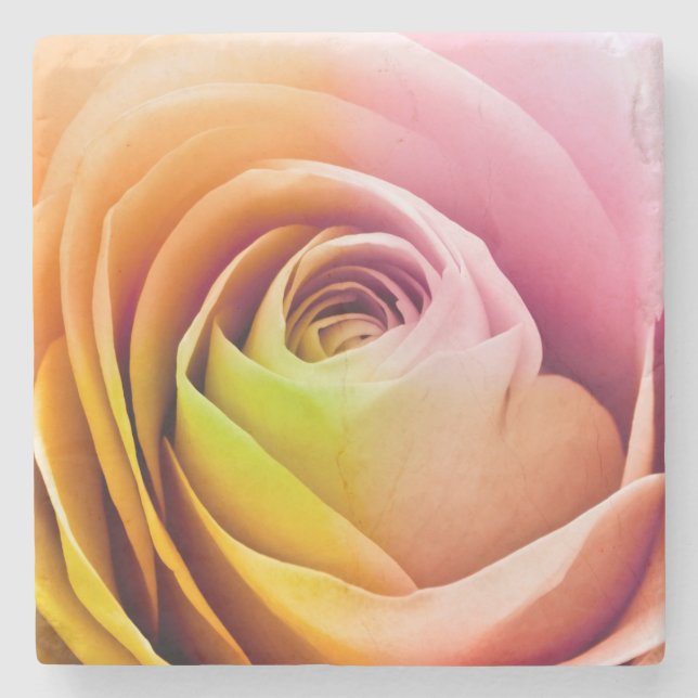 Slut upp av färgrika rosa Petals Stenunderlägg (Framsidan)