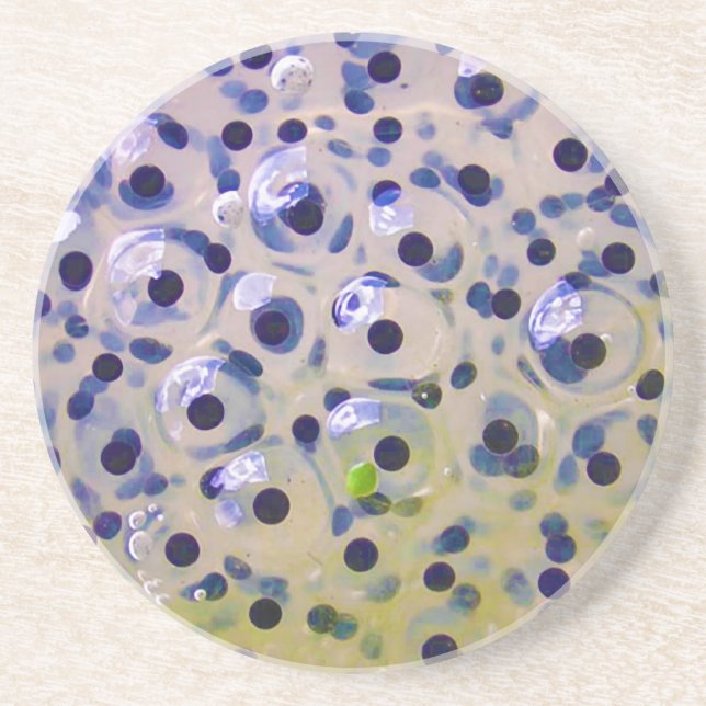 Slut upp av Frogspawn ägg snart som är grodynglar Underlägg (Framsidan)