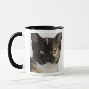 Slut upp av kattungen mugg