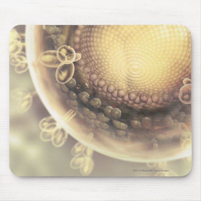 Slut upp av strukturera av en HIV-cell Musmatta (Framsidan)