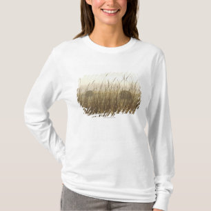 Slut upp av vetefotografi t-shirt