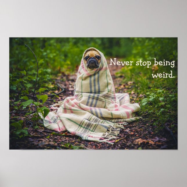Sluta aldrig att vara Konstig i Blanket Poster (Framsidan)