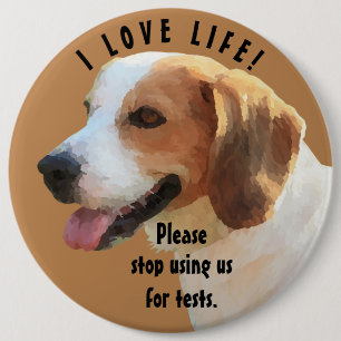 "Sluta använda oss för tester" Beagle Pin-knapp Knapp