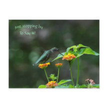 Sluta bara med Hummingbird-vycard