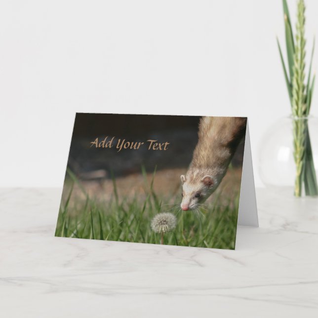 Sluta döda dandelions illrar helgkort (Framsida)