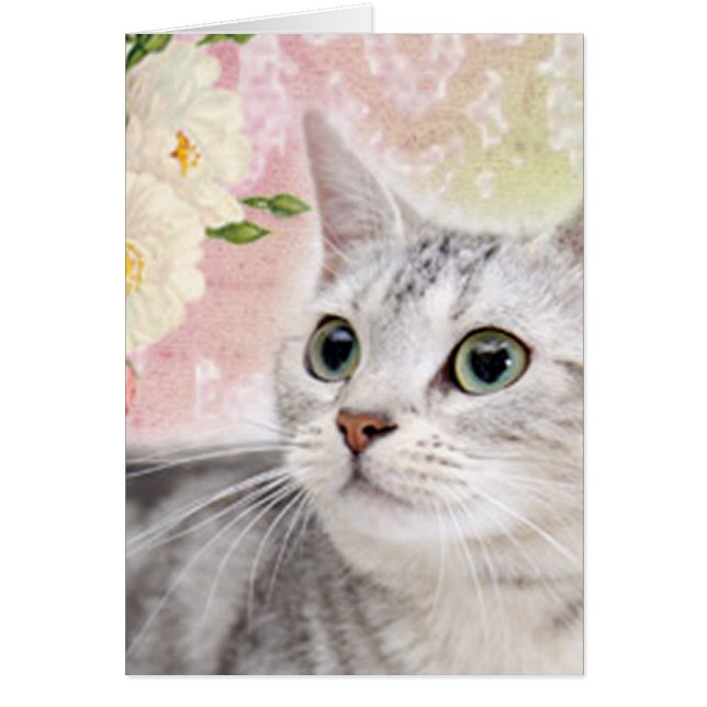 Sluta dra Ro OBS Kort (Framsidan)