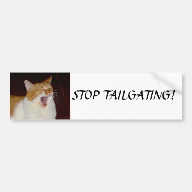 Sluta klämma katt med Bumper-etikett Bildekal (Framsidan)