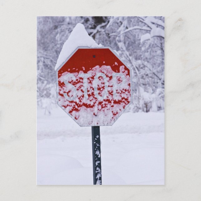 Sluta ljuga! vykort (Framsida)