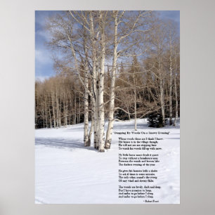 Sluta med Skogen på en snökväll Poster