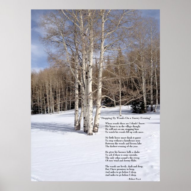 Sluta med Skogen på en snökväll Poster (Framsidan)