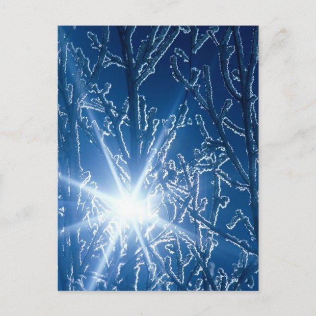 Sluta med Skogen på en snökväll Vykort (Framsida)