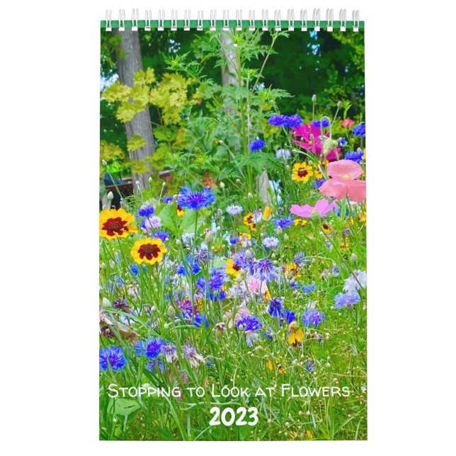 Sluta titta på blommor 2023 kalender (Omslag)