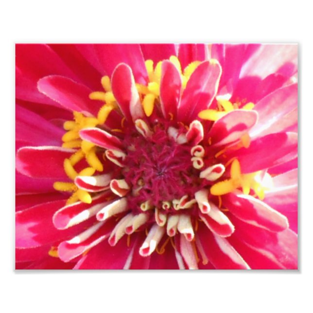 Slutföring av bottencenter fototryck (Framsidan)