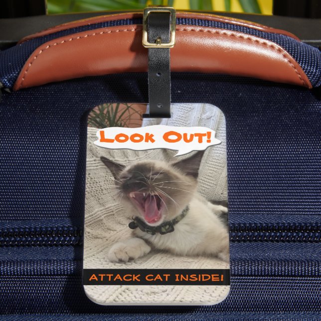 Slutfoto för siamesisk attackkatalog bagagebricka (Framsida Insitu 2)