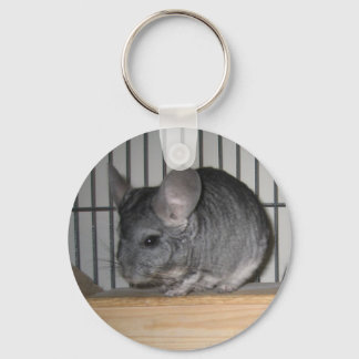Slutligen Home Chinchillas: Cheeko Nyckelring