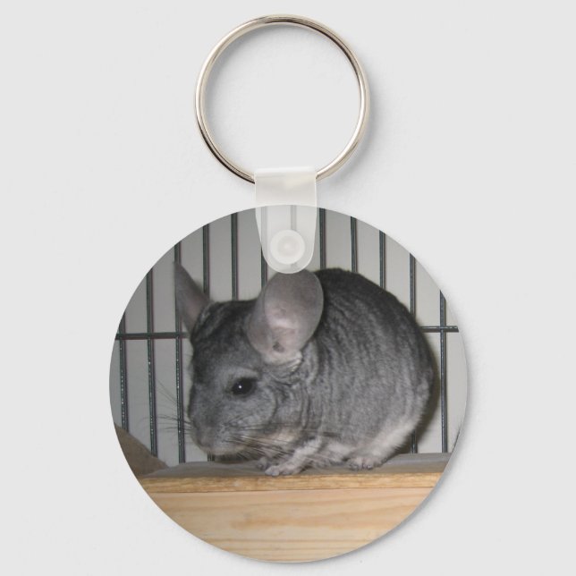 Slutligen Home Chinchillas: Cheeko Nyckelring (Framsida)