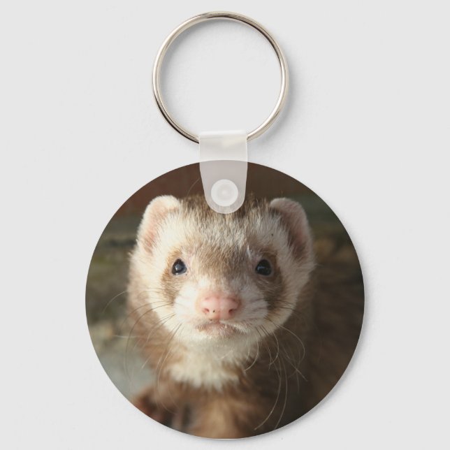 Slutning av Keychain Ferret-up Nyckelring (Framsida)