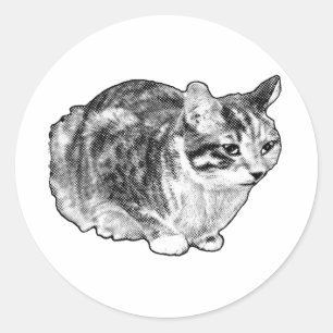 Sly Loaf, prickad charm Runt Klistermärke