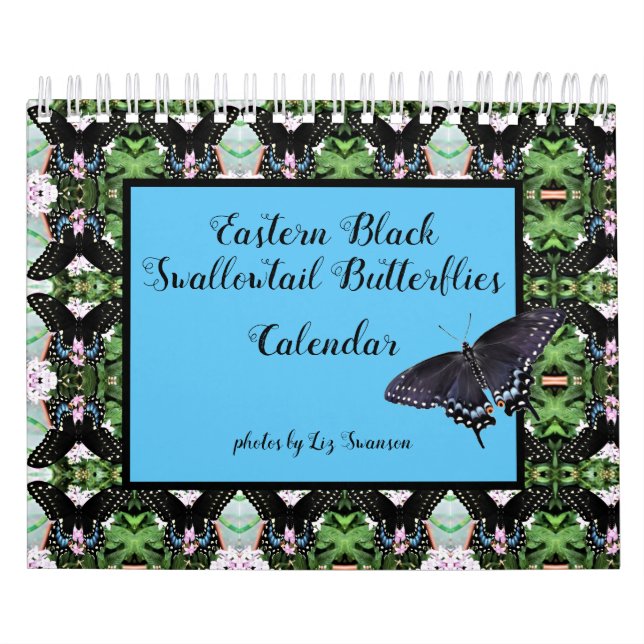 Sm Calendar - Östra Black Swallowtailts Kalender (Omslag)