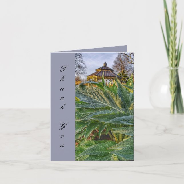 Små, 4-tums x 5,6-tums (5,6-tums) tackkort (Framsida)