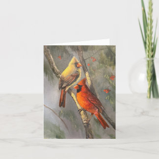 Små, 4-tums x 5,6-tums (5,6-tums) tackkort