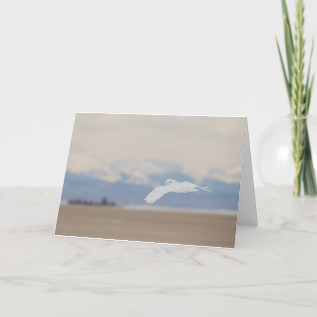 Små, 4 x 5,6-tums (5,6 tum) tack kort (Framsida)