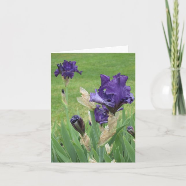 Små anteckningskort för Blue Iris (Framsida)