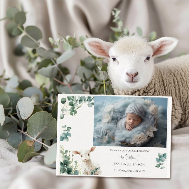 Små Baby Lamb och eukalyptus baptism Tack Kort (Skapare uppladdad)