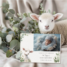 Små Baby Lamb och eukalyptus baptism Tack Kort