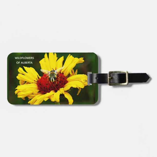 Små biodlingar på vildblommor av Gult Bagagebricka (Horisontell Framsida)