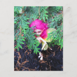 Små björnhakor, asiatisk Boll-belagd docka Vykort