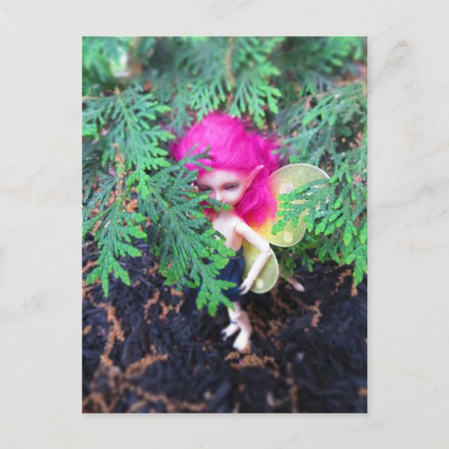 Små björnhakor, asiatisk Boll-belagd docka Vykort (Framsida)