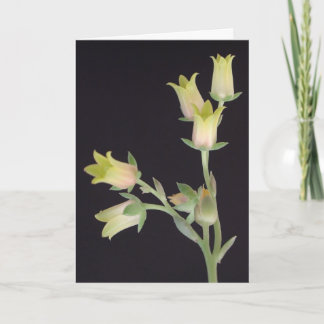 Små blommar under Lent Kort