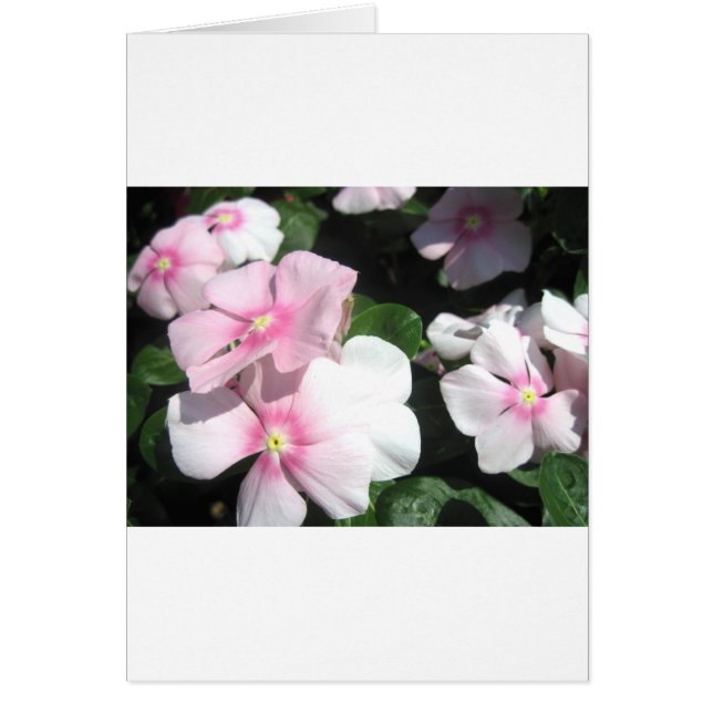 Små blommor hälsningskort (Framsidan)