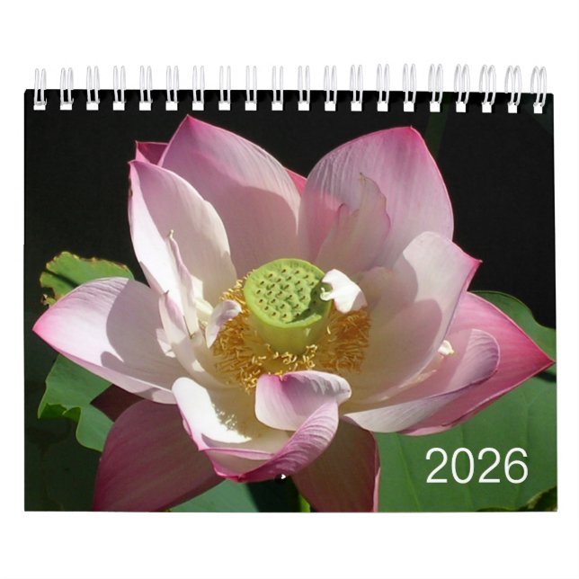 Små blommor Kalender 2026 (Omslag)