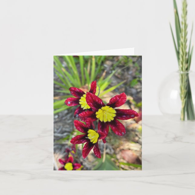 Små Blommor Tack Kort (Framsida)