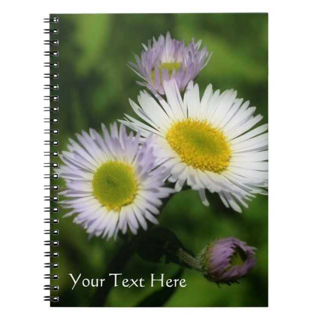 Små Daisy Fleabane Flower Nature Anteckningsbok Med Spiral (Framsidan)