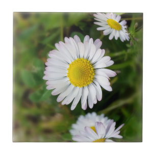 Små daisy kakelplatta