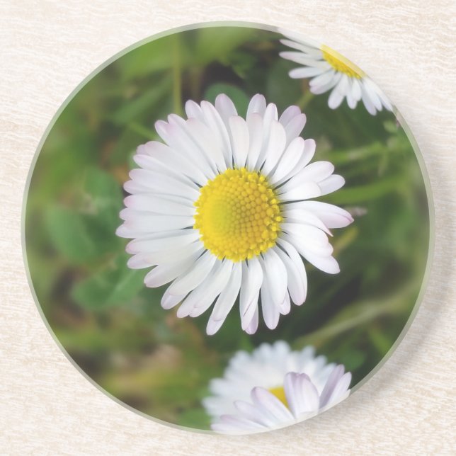 Små daisy underlägg (Framsidan)
