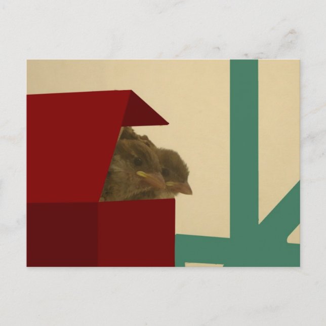 Små fåglar vykort (Framsida)